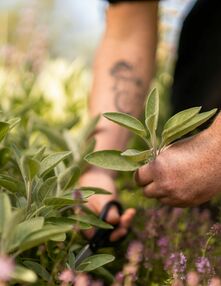 Lifestyle & nature at the hotel in Bavaria, Mellrichstadt