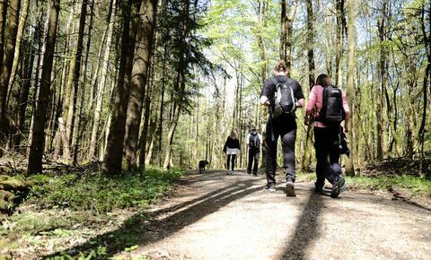 Aktivurlaub Rhön im Biohotel Sturm, Mellrichstadt