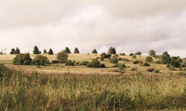 Aktivurlaub Rhön: Urlaub im Biosphärenreservat Rhön