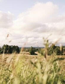 Lifestyle & nature at the hotel in Bavaria, Mellrichstadt