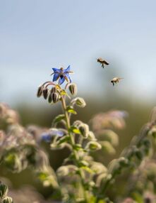 Wellness holidays Rhön at the hotel with garden, Bavaria Wellness holidays Rhön at the hotel with garden, Bavaria