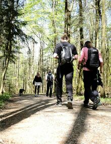 Lifestyle & nature at the hotel in Bavaria, Mellrichstadt