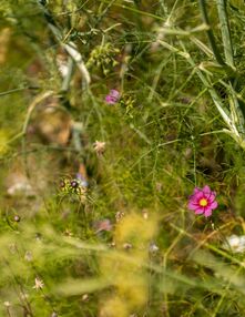 Lifestyle & nature at the hotel in Bavaria, Mellrichstadt