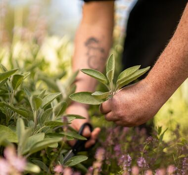 The Sturm philosophy - values of our eco hotel Bavaria