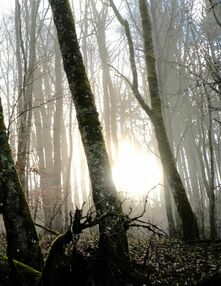 Lifestyle & Naturhotel Bayern: Bilder aus Mellrichstadt