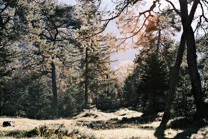 Active vacation Rhön: holidays in the Biosphere Reserve Active vacation Rhön: holidays in the Biosphere Reserve