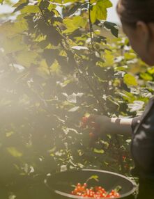 Lifestyle & Naturhotel Bayern: Bilder aus Mellrichstadt