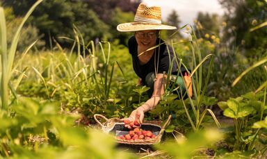 Wellness holidays Rhön at the hotel with garden, Bavaria